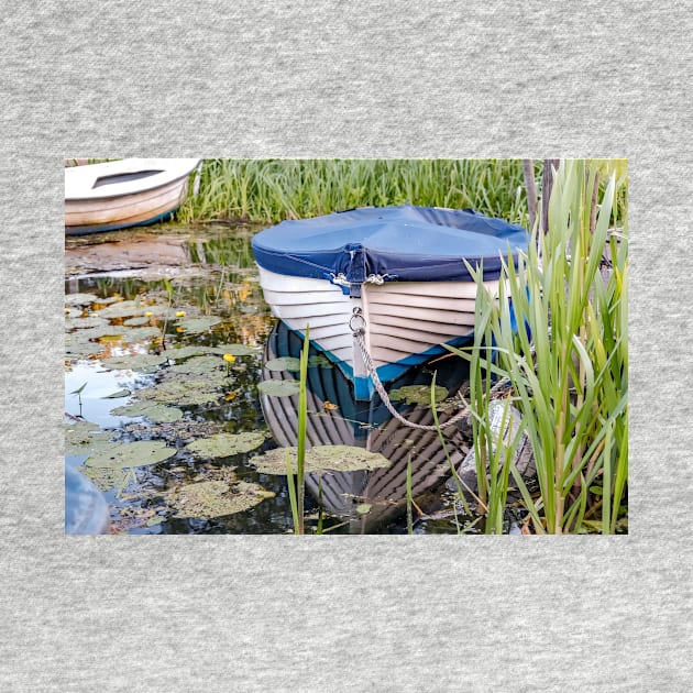 Moored row boat on the Norfolk Broads by yackers1